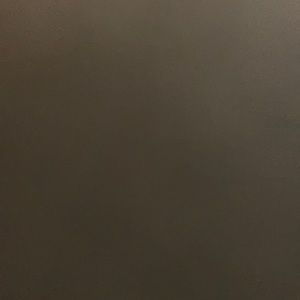 Meet your Posher, Sierra